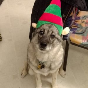 Meet your Posher, Suzanne